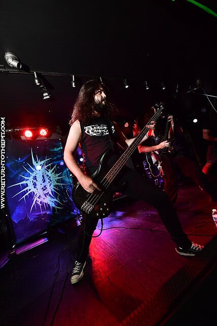[analepsy on Aug 3, 2023 at Jewel Music Venue (Manchester, NH)]
