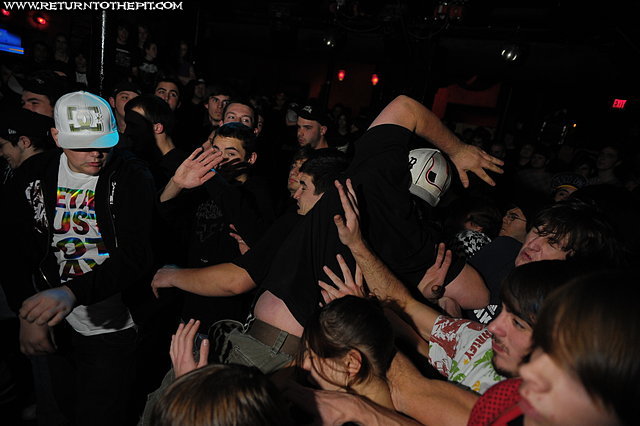 [animosity on Nov 30, 2008 at Club Hell (Providence, RI)]