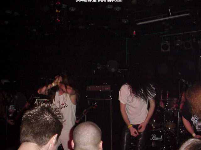 [compost pile on May 6, 2000 at The Palladium (Worcester, MA)]