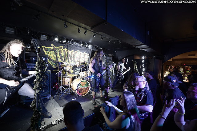 [jungle rot on May 31, 2019 at Jewel Music Venue (Manchester NH)]