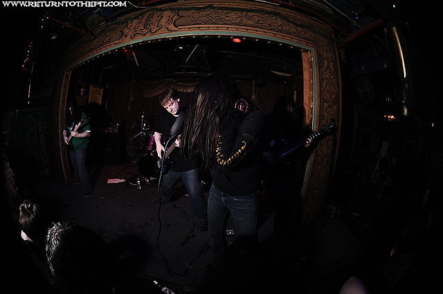 [parasitic extirpation on Feb 23, 2012 at Ralph's (Worcester, MA)]
