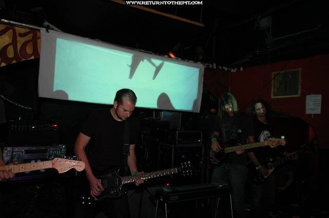 [red sparowes on Aug 23, 2005 at Middle East (Cambridge, Ma)]