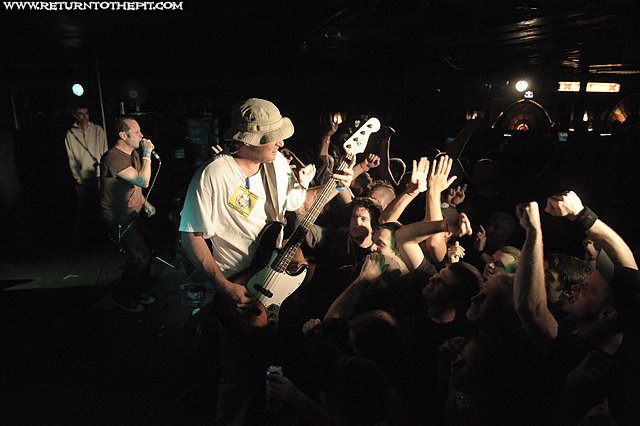 [tree on Sep 17, 2011 at Middle East (Cambridge, MA)]